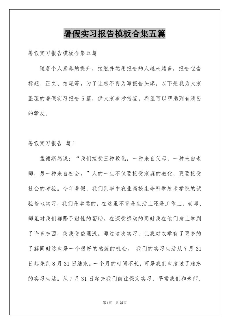 暑假实习报告模板合集五篇范本