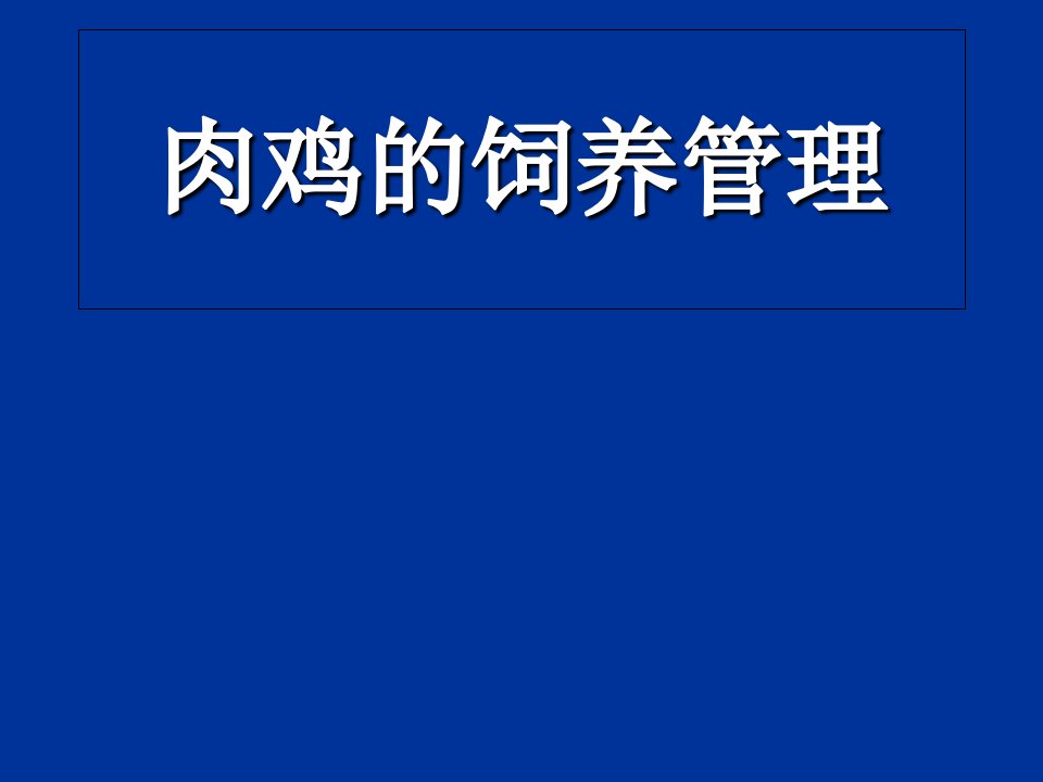 肉鸡的饲养管理a