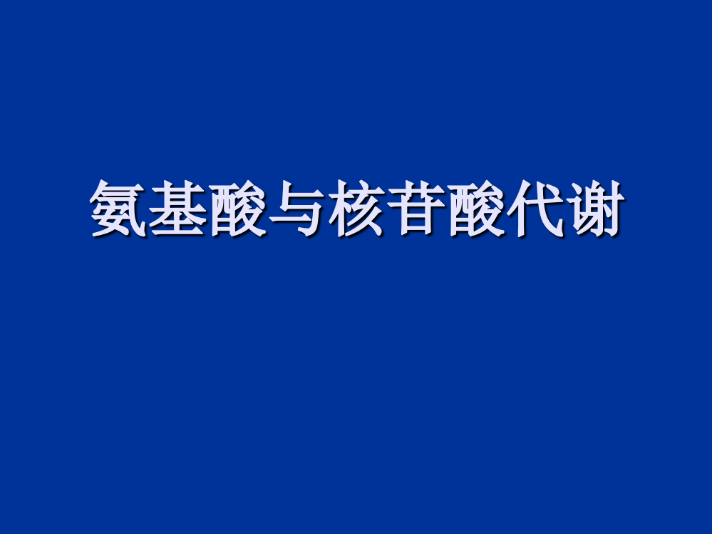 氨基酸与核苷酸代谢ppt课件