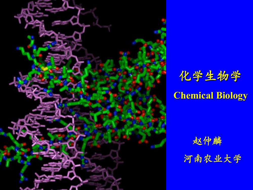 (完整版)化学生物学绪论