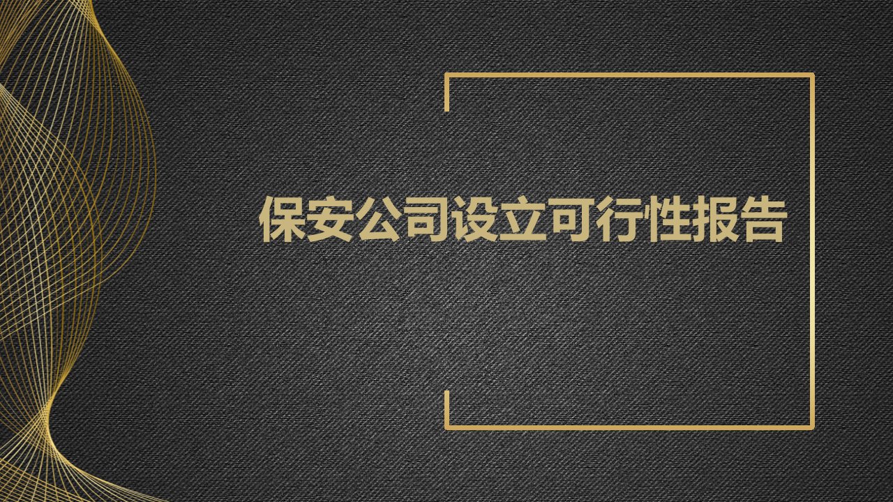 保安公司设立可行性报告