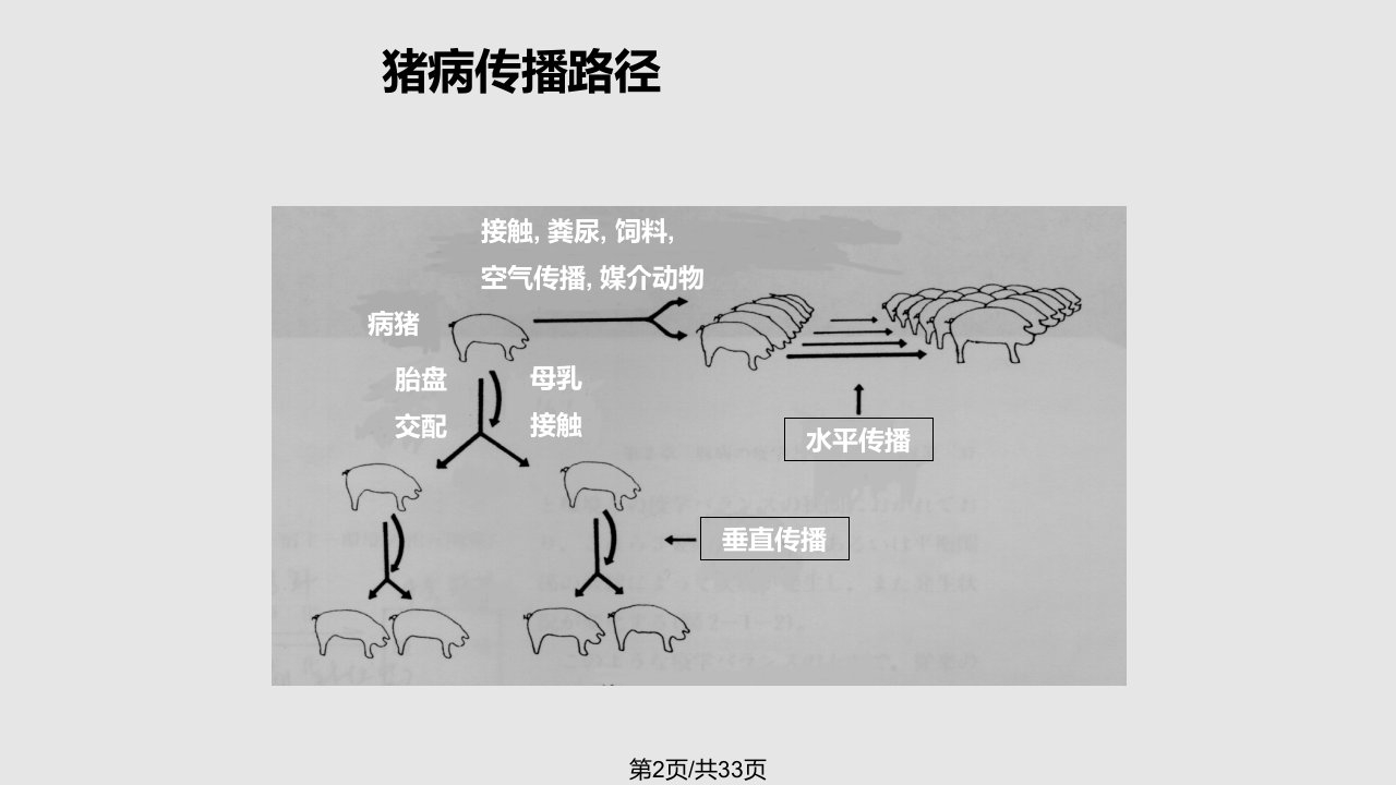 猪场消毒与防疫