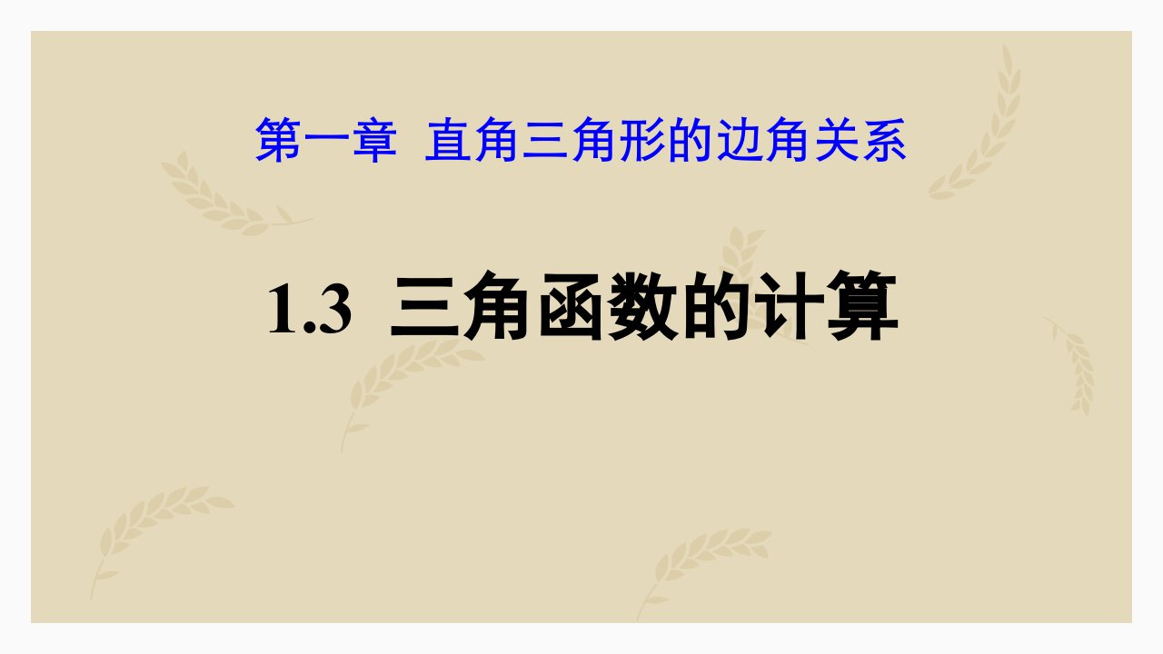 2024北师大版九年级数学下册教学课件2三角函数的计算