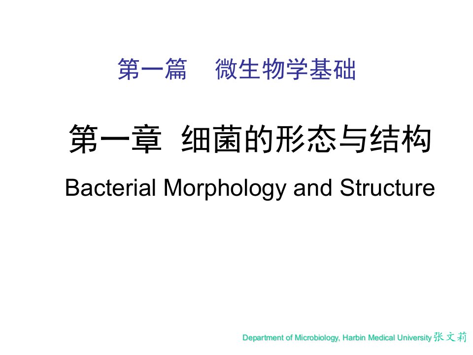 微生物学第一章细菌的形态与结构