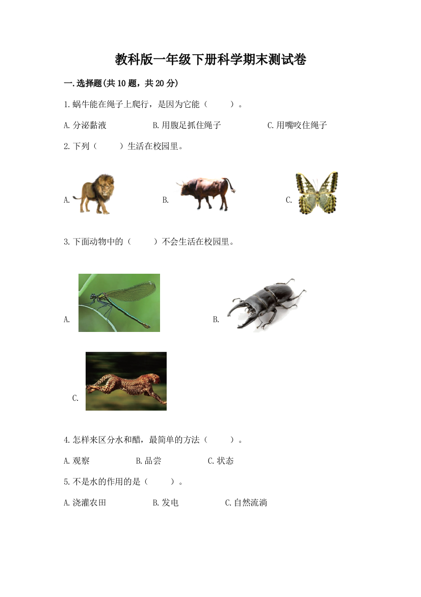 教科版一年级下册科学期末测试卷附参考答案（轻巧夺冠）