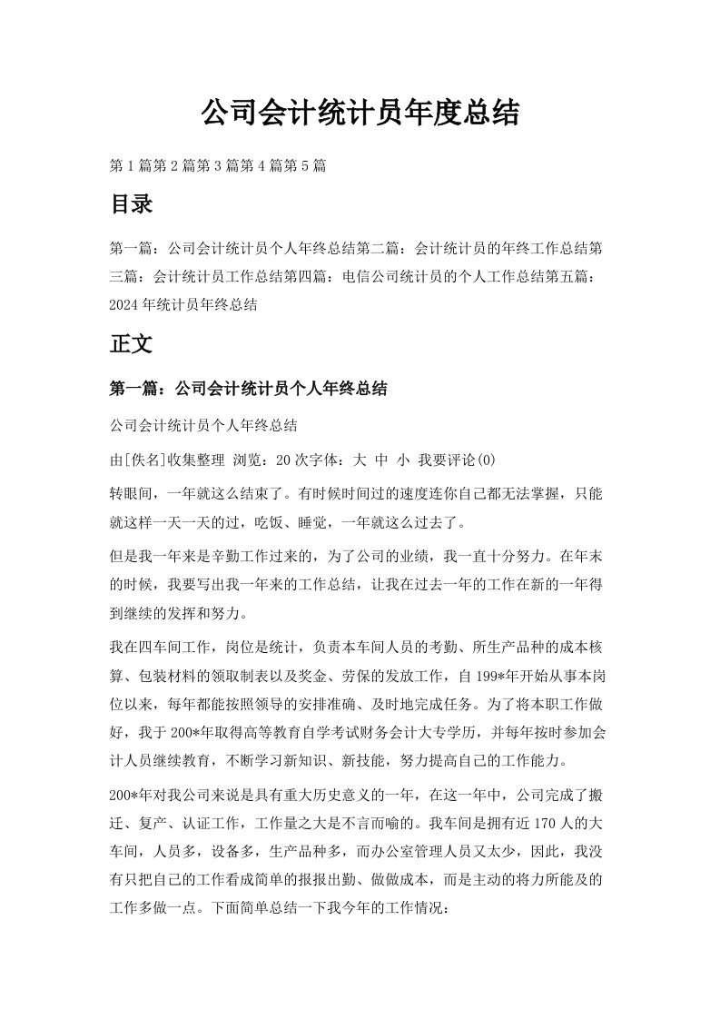 公司会计统计员年度总结