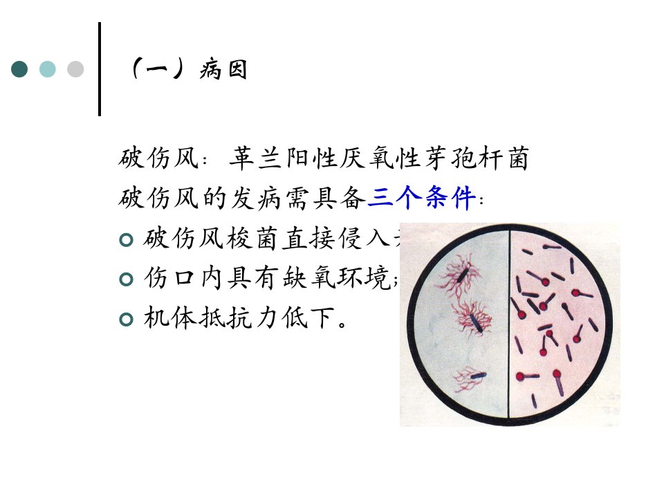 11.13破伤风