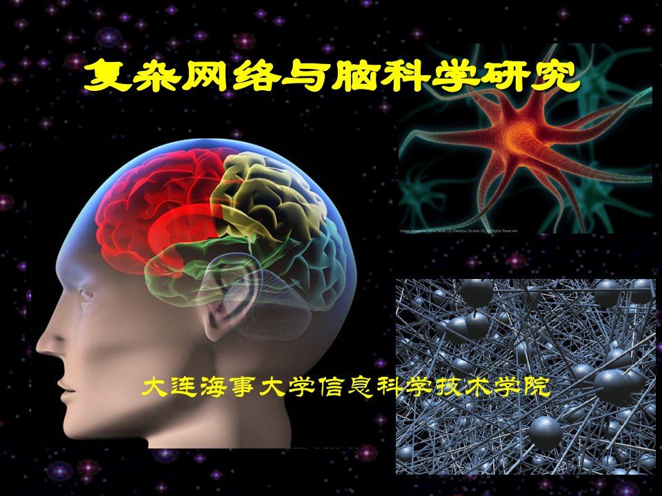 脑科学与复杂网络研究