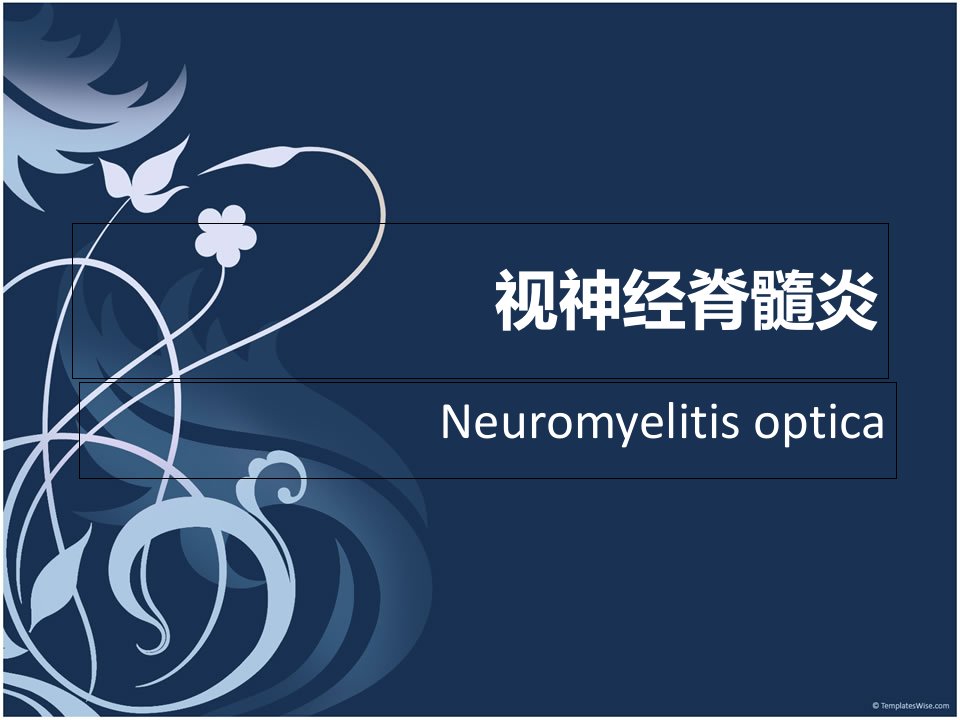 视神经脊髓炎PPT课件