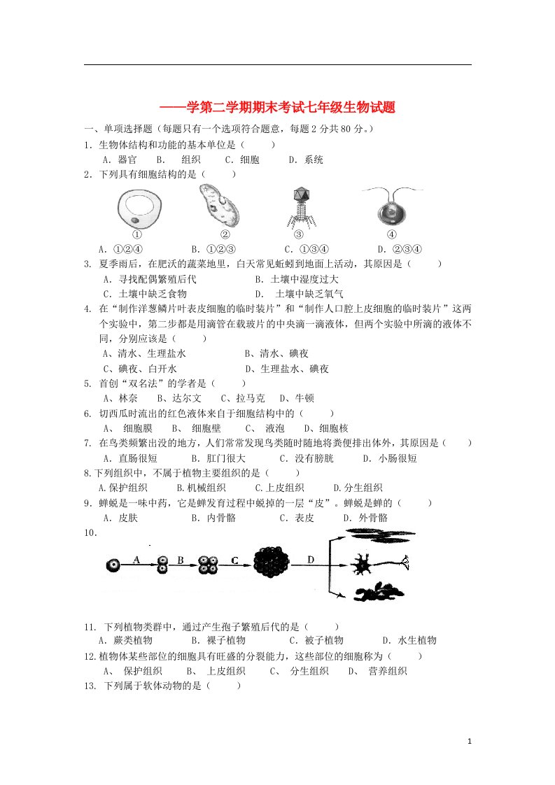 江苏省泗阳县桃州中学、新阳中学七级生物下学期期末联考试题