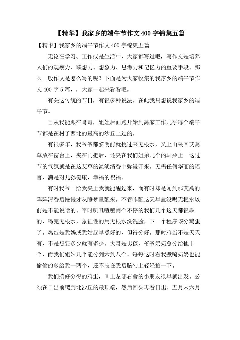 我家乡的端午节作文400字锦集五篇