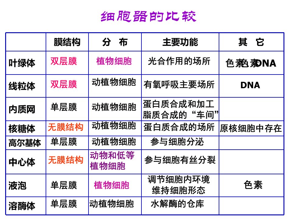 高尔基体