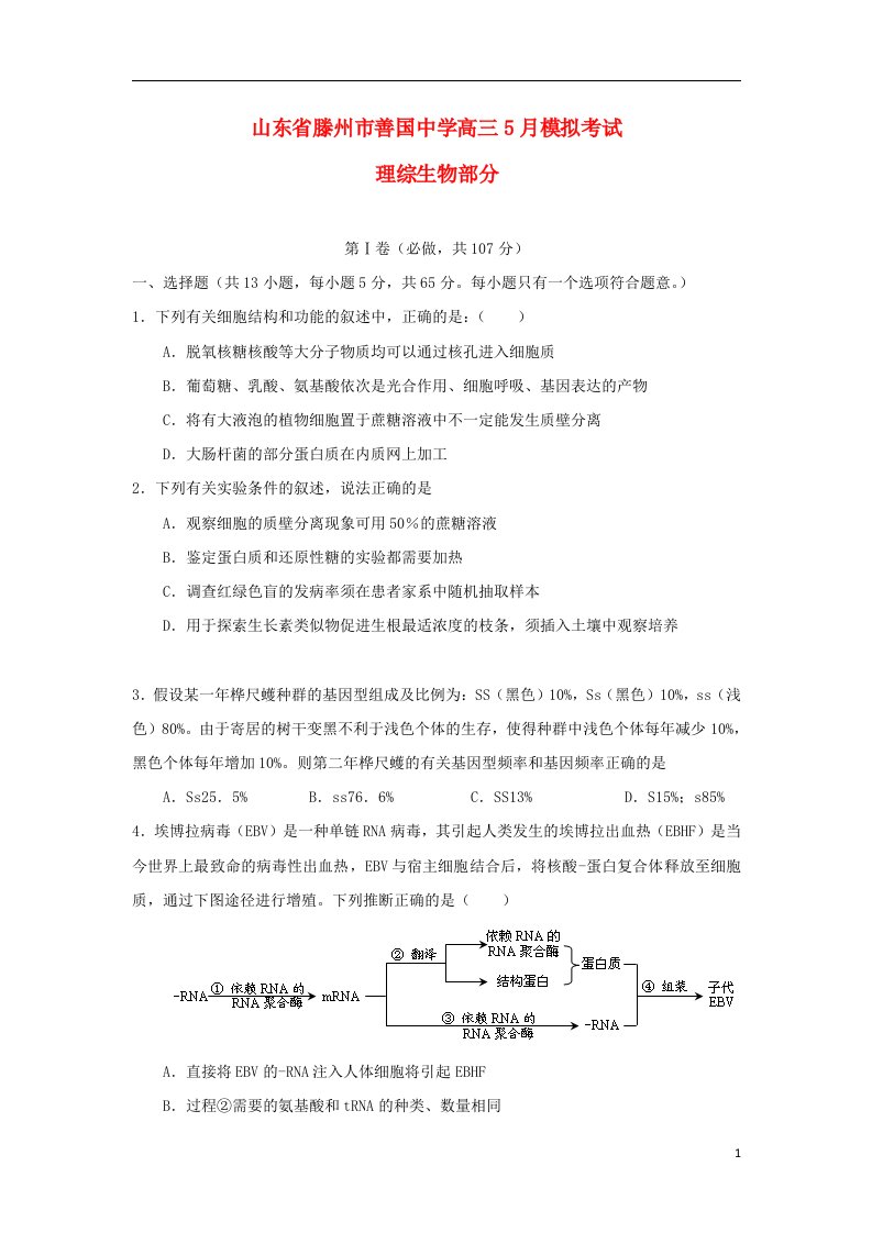 山东省滕州市善国中学高三生物5月模拟考试试题