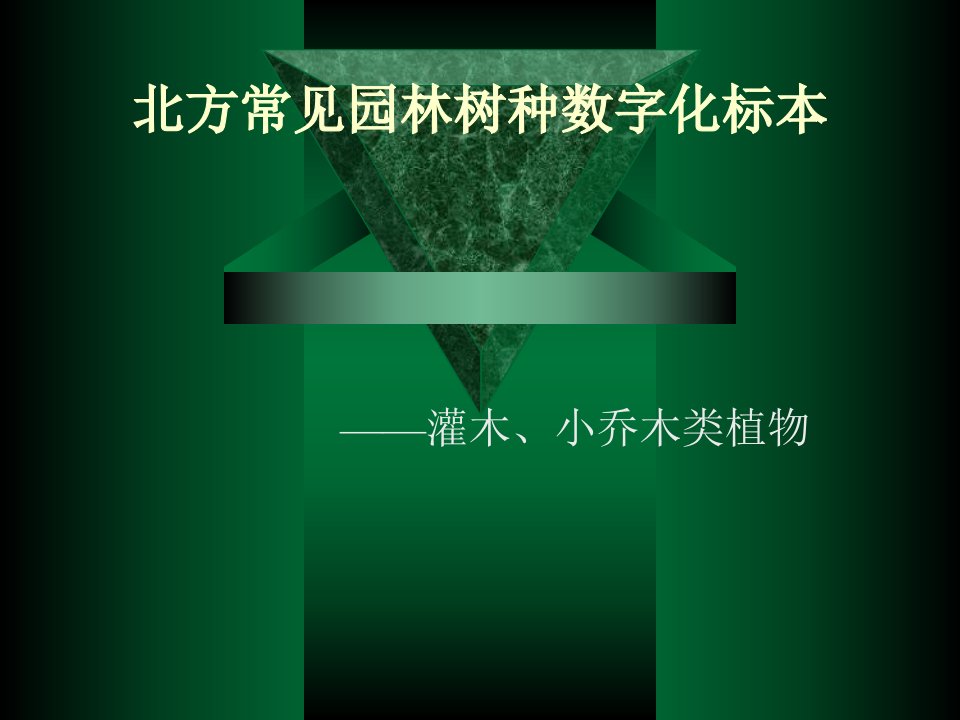 北方常见园林树木灌木类、小乔木类标本