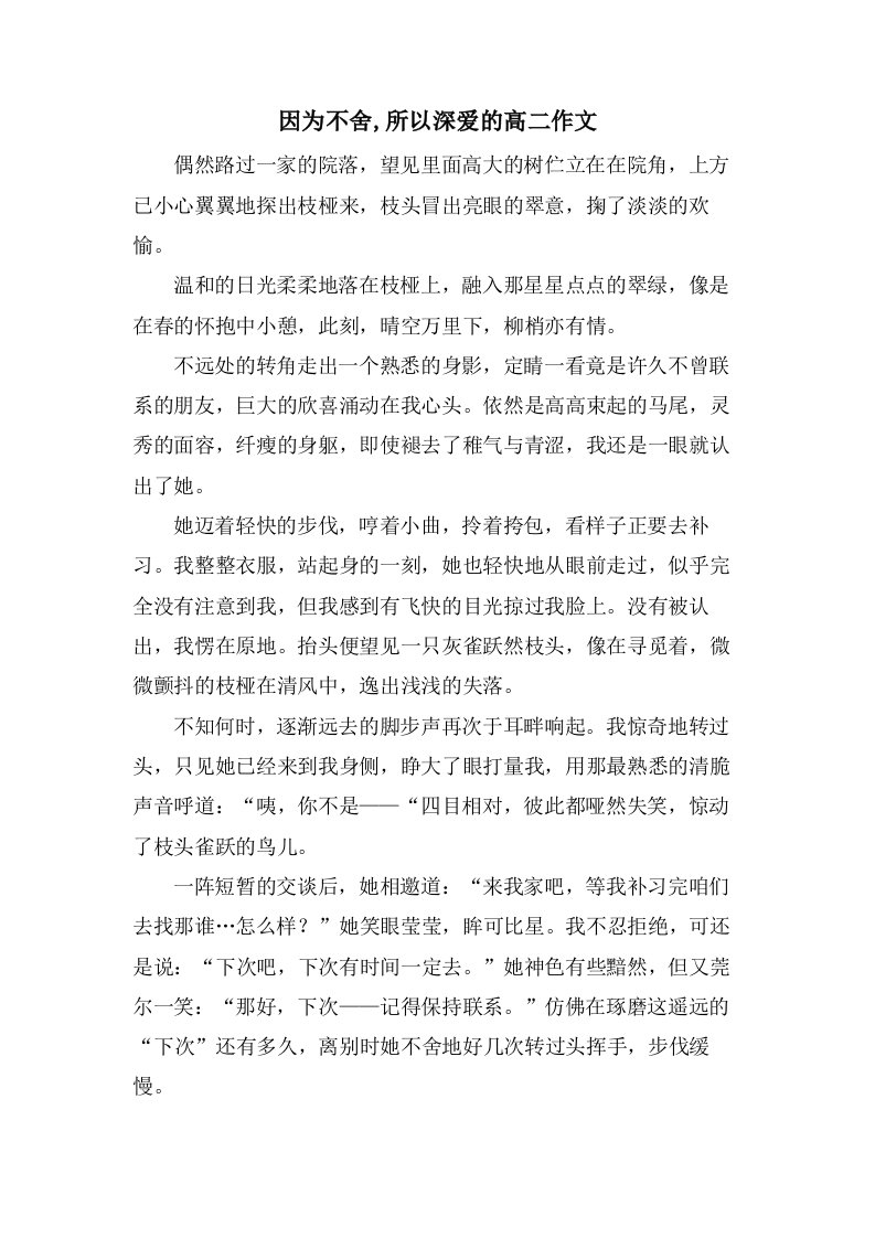 因为不舍,所以深爱的高二作文