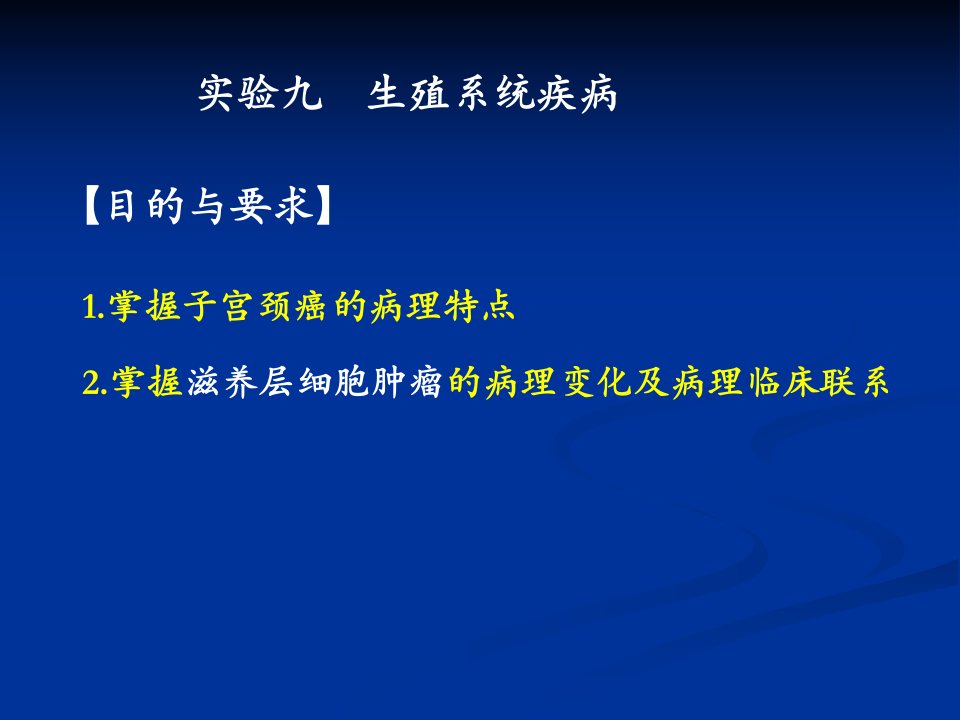 生殖系统疾病演示文稿