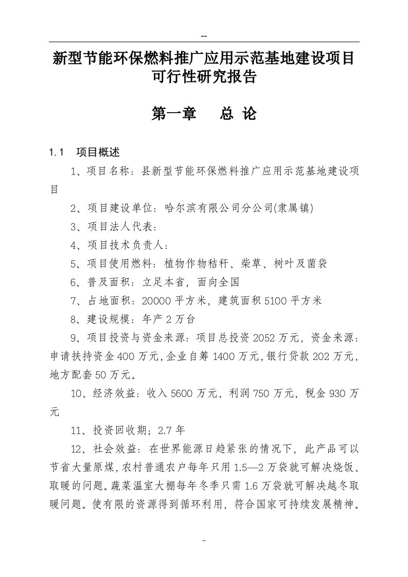 新型节能环保燃料推广应用示范基地建设项目可行性研究报告17178