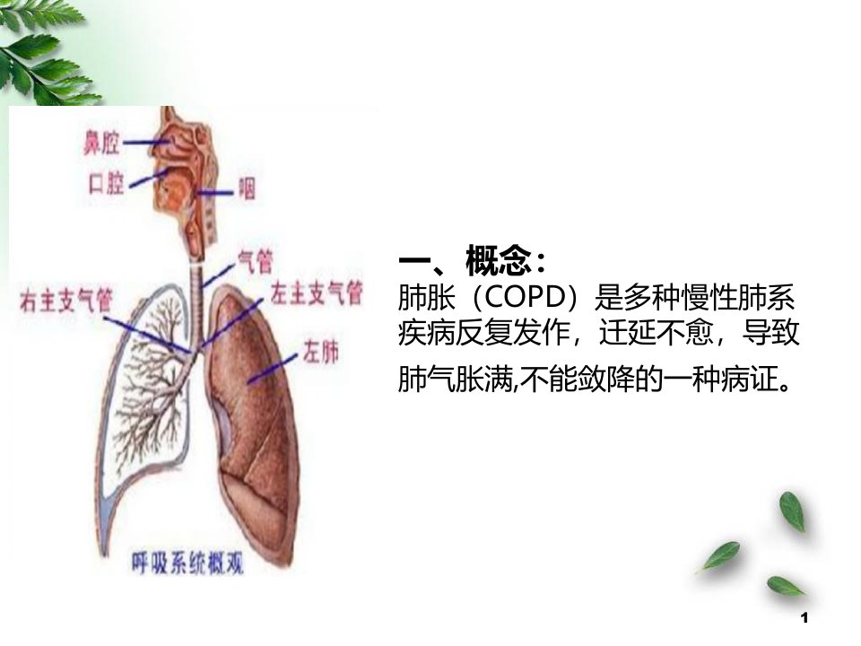 肺胀中医护理查房ppt医学课件