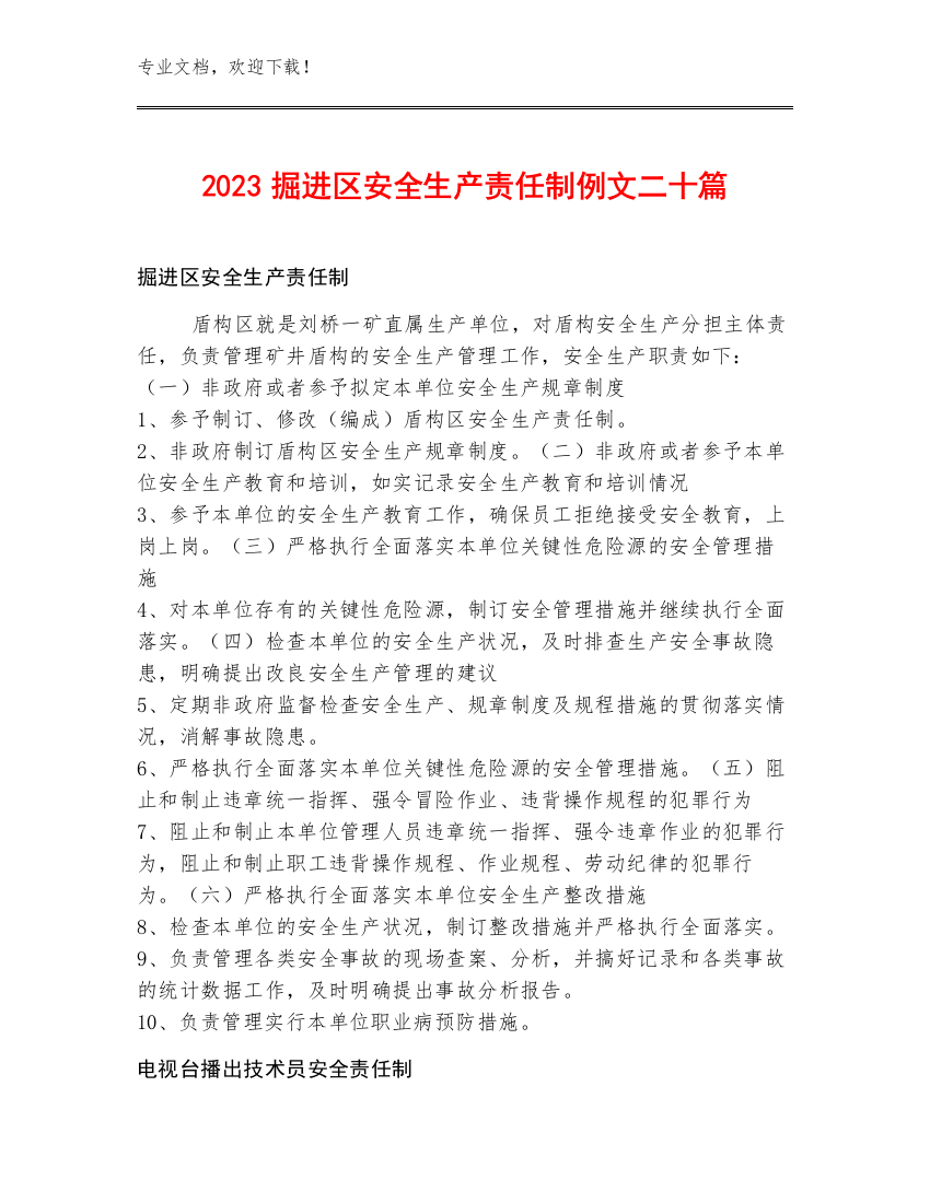 2023掘进区安全生产责任制例文二十篇