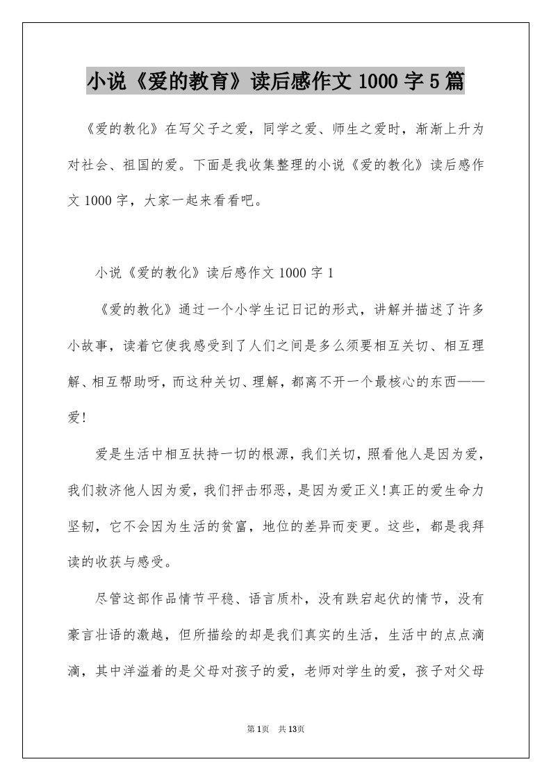 小说爱的教育读后感作文1000字5篇