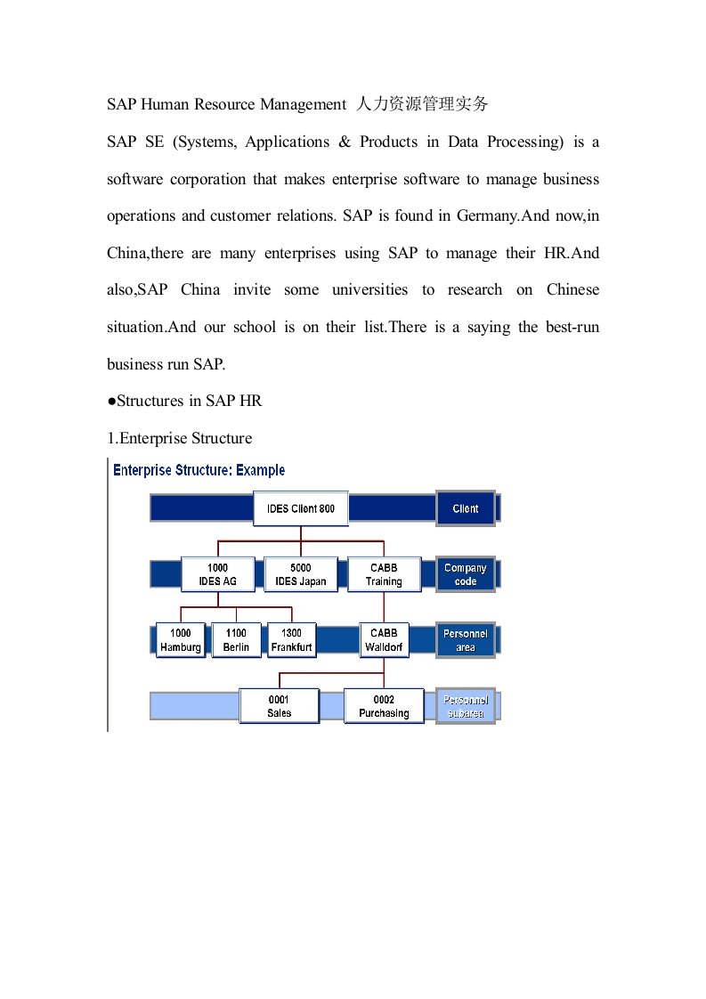 SAPHumanResourceManagement人力资源管理实务