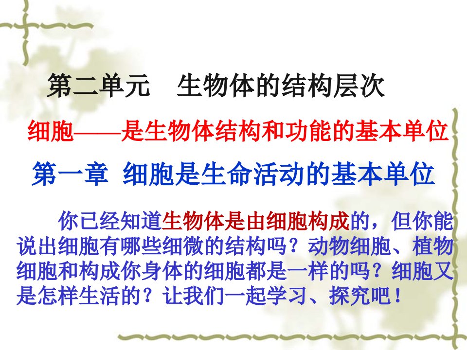 练习使用显微镜PPT课件30人教版