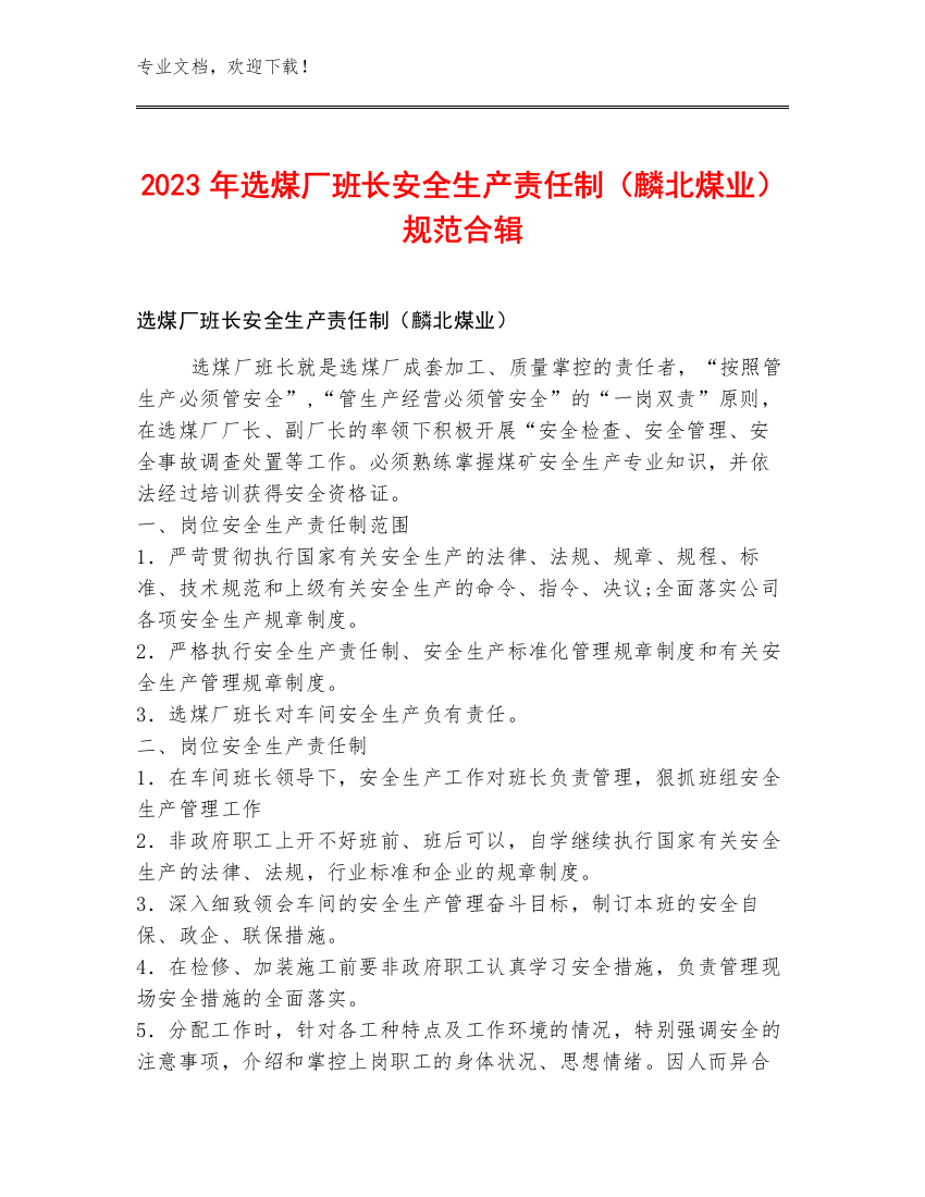 2023年选煤厂班长安全生产责任制（麟北煤业）规范合辑