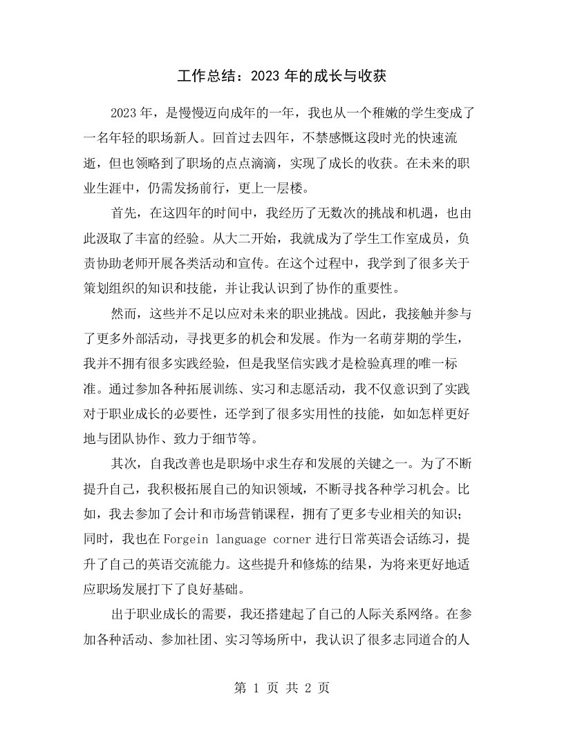 工作总结：2023年的成长与收获