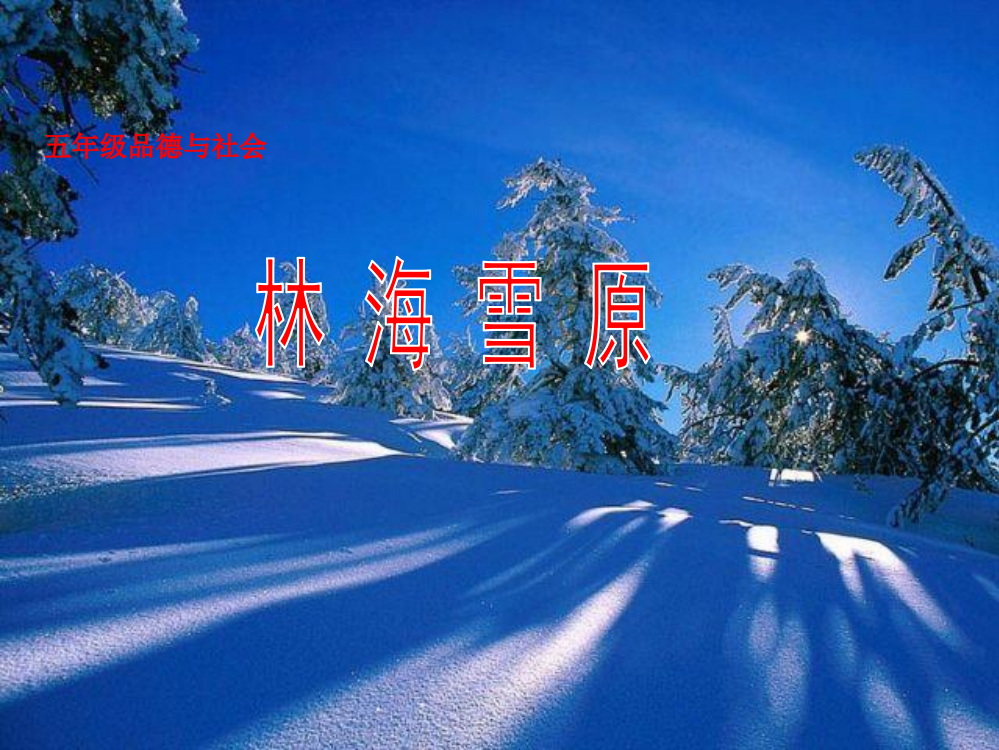 小学五年级品德与社会下册《林海雪原》课件-