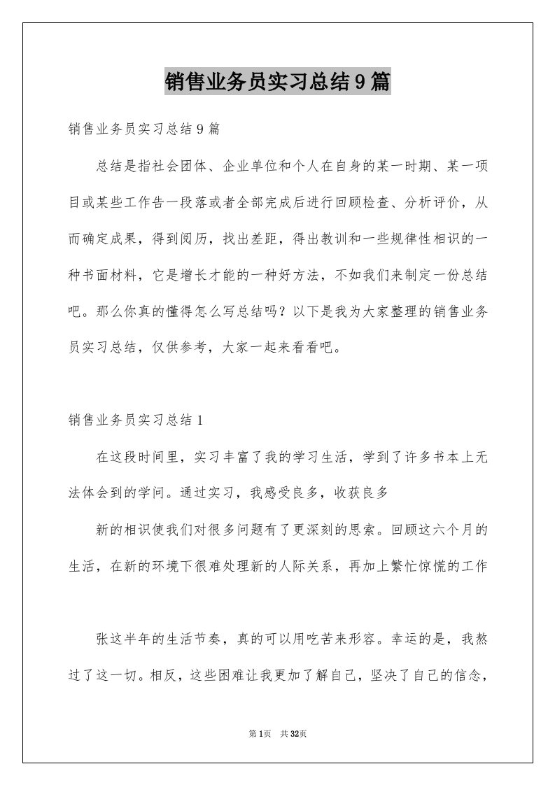 销售业务员实习总结9篇