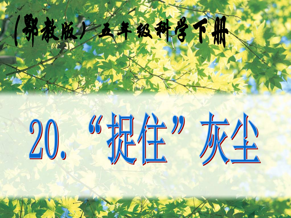 20五年级下册20《“捉住”灰尘》