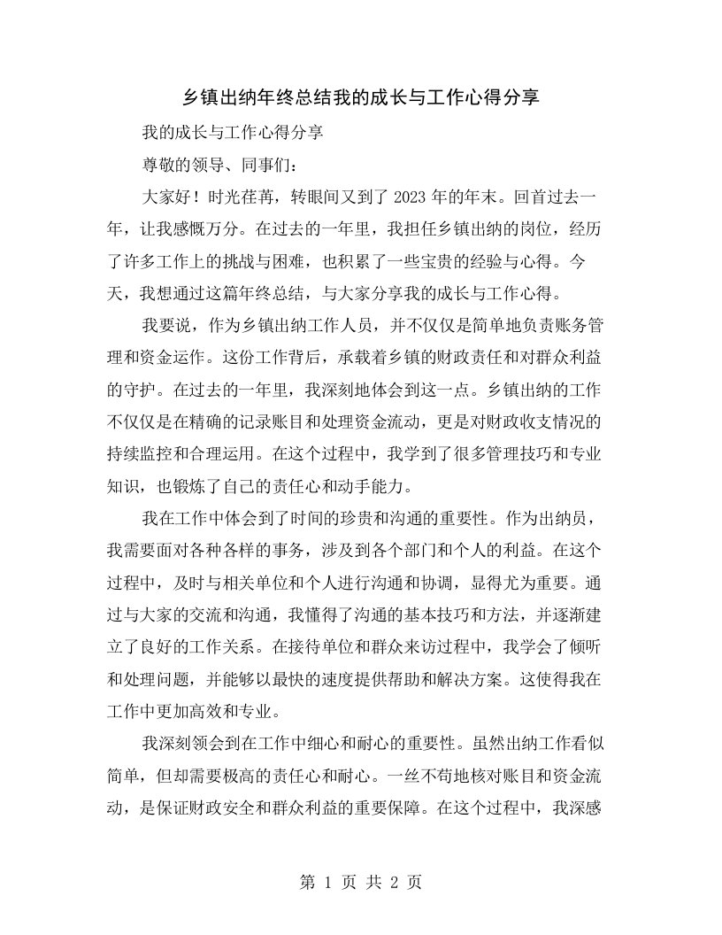 乡镇出纳年终总结我的成长与工作心得分享