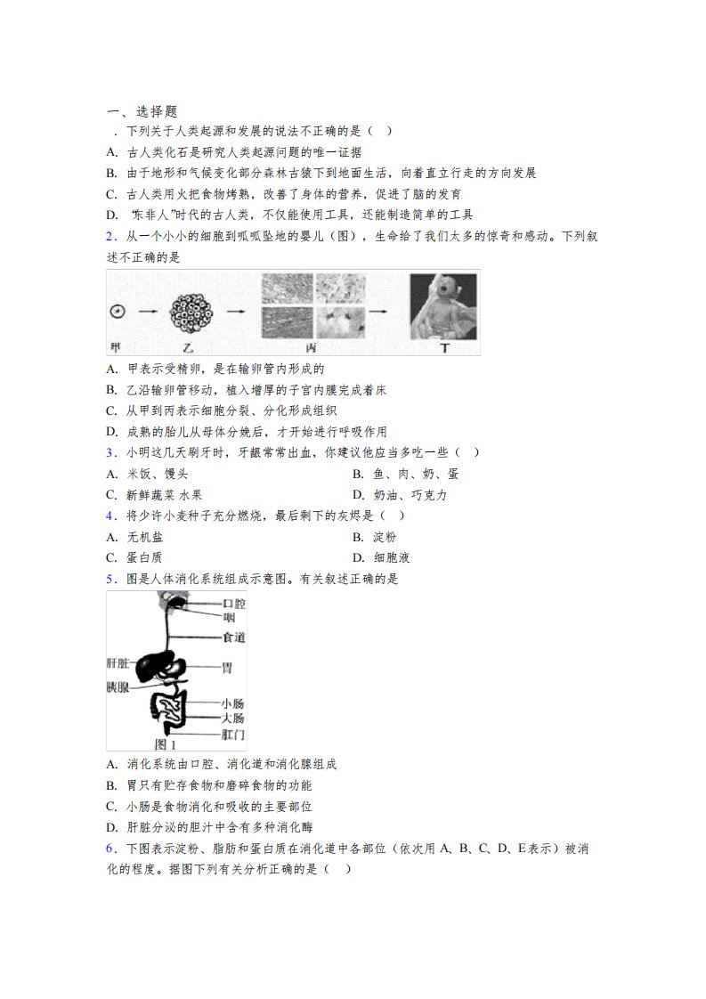 深圳市新华中学七年级下册期中生物期中试卷