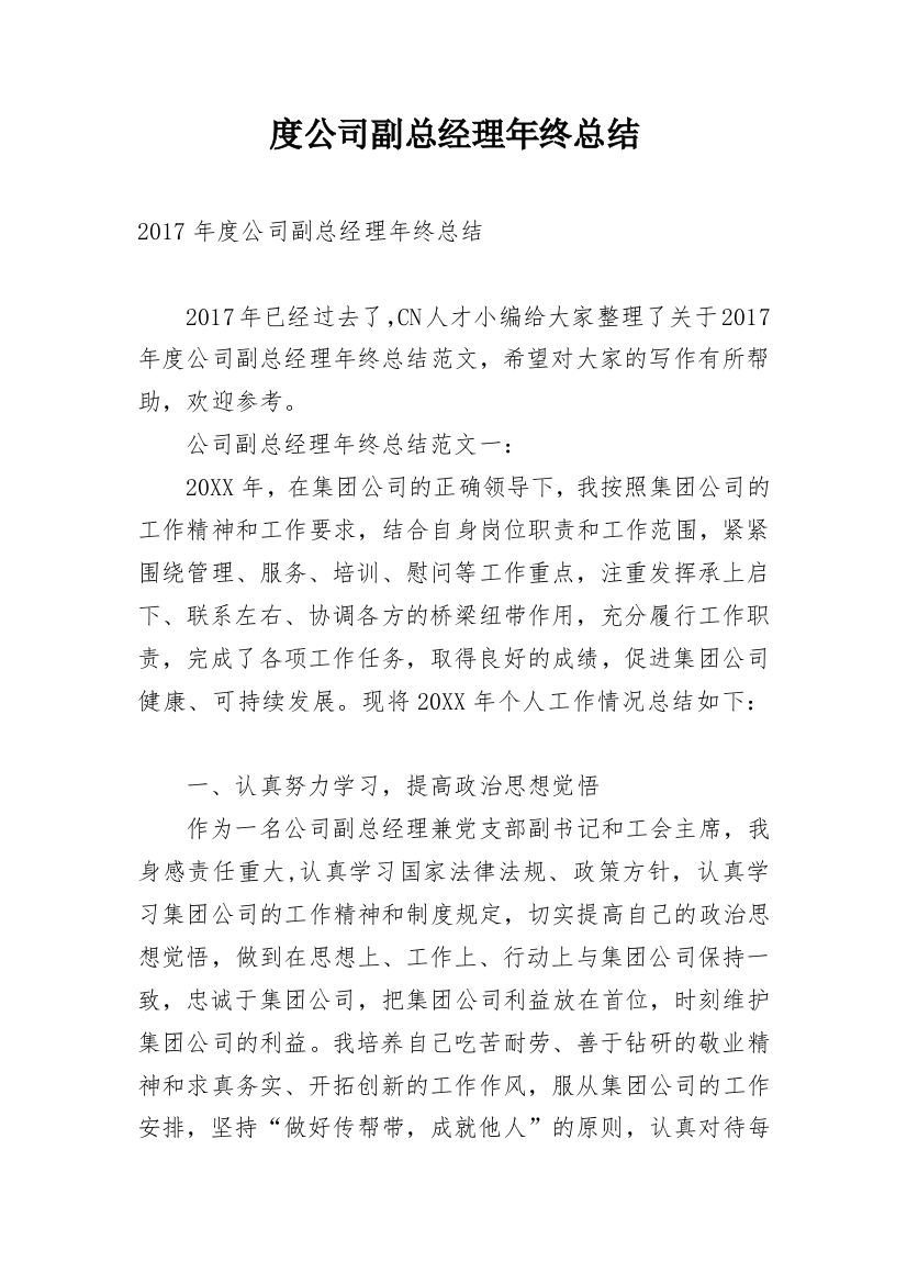 度公司副总经理年终总结