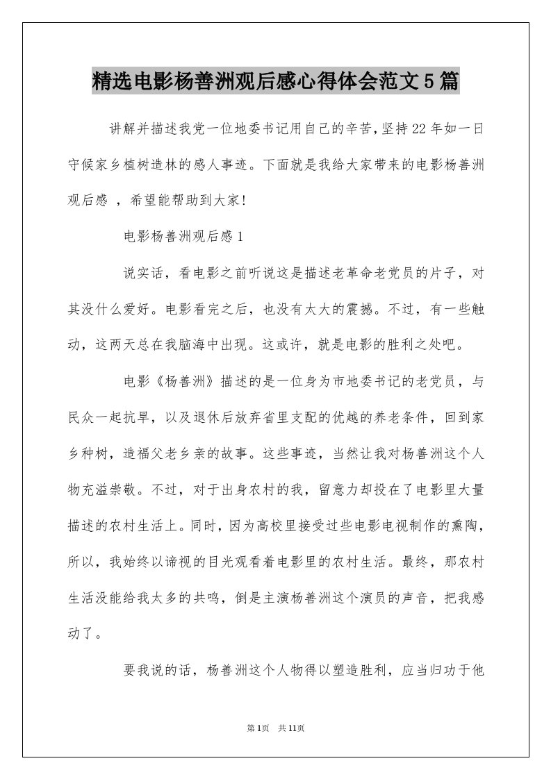 精选电影杨善洲观后感心得体会范文5篇