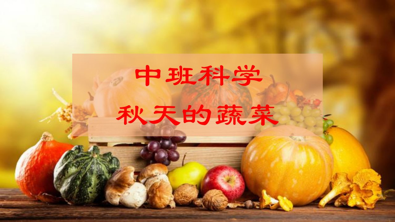 中班科学：秋天的蔬菜