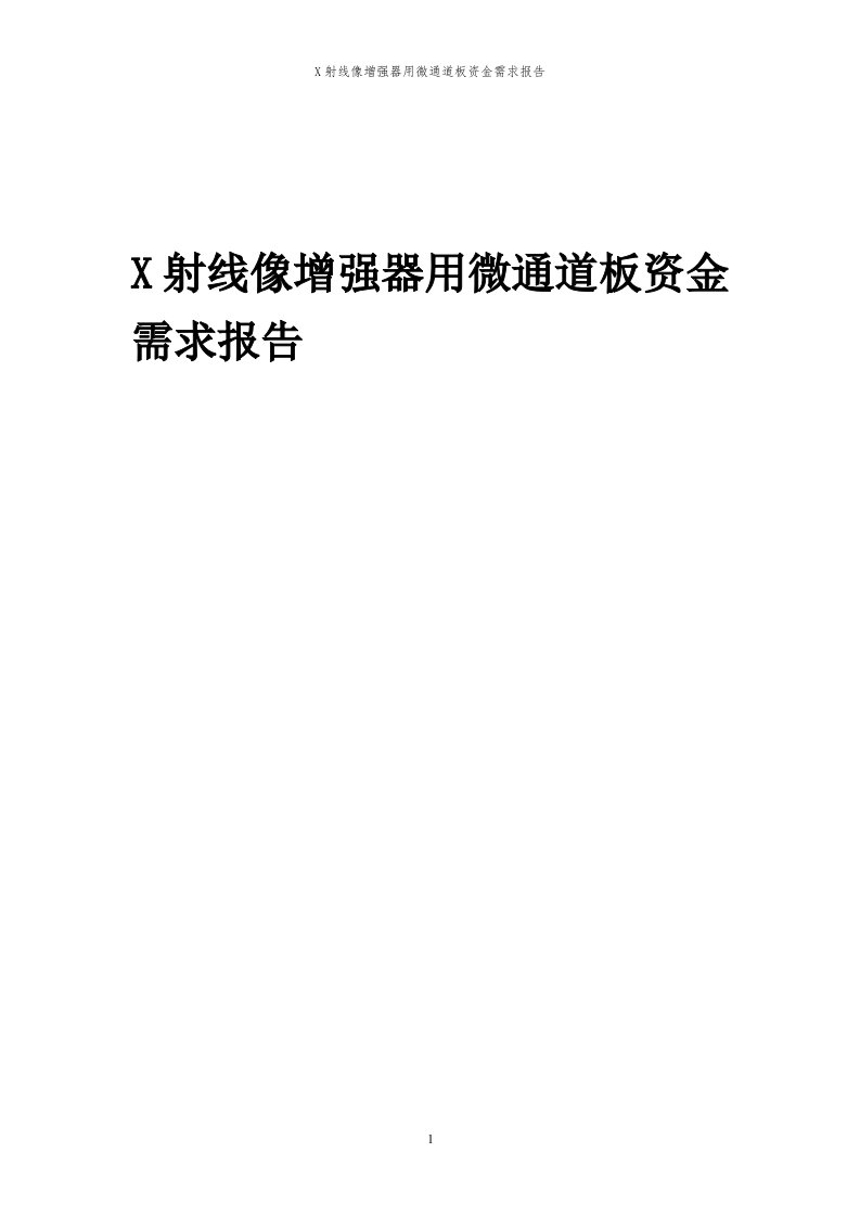 2024年X射线像增强器用微通道板项目资金需求报告代可行性研究报告