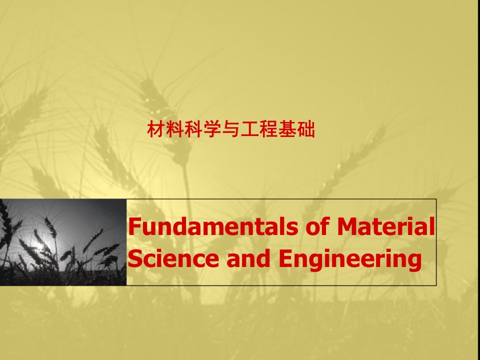 材料科学与工程基础经典课件fundamental-21讲课教案