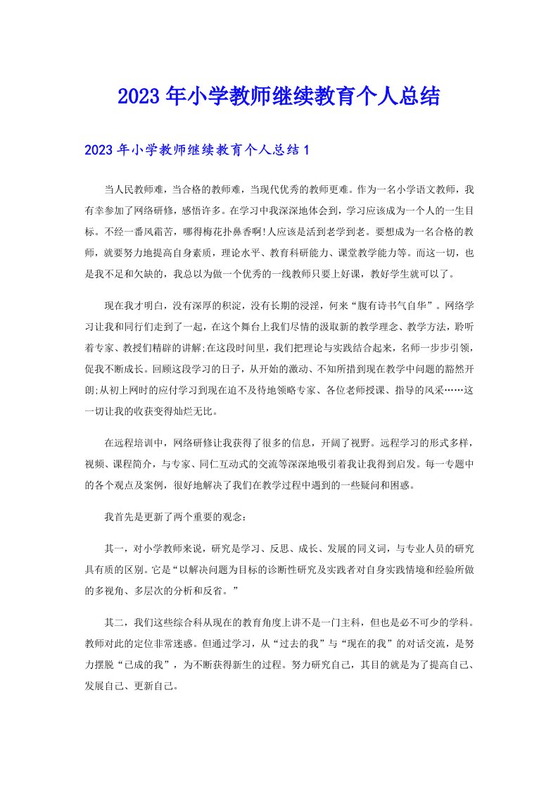 2023年小学教师继续教育个人总结