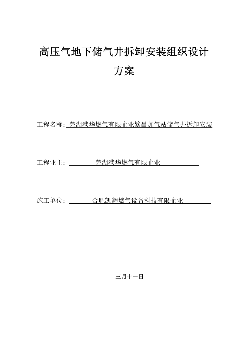 加气站储气井检测组织方案