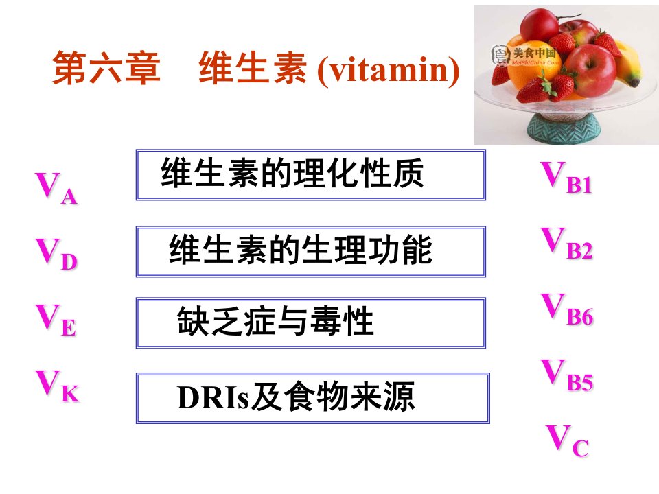 医学专题食品营养学维生素