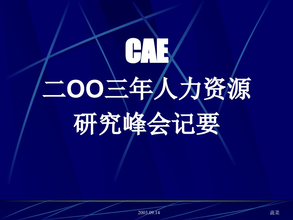 CAE二00三年人力资源研究峰会纪要（PPT19页）