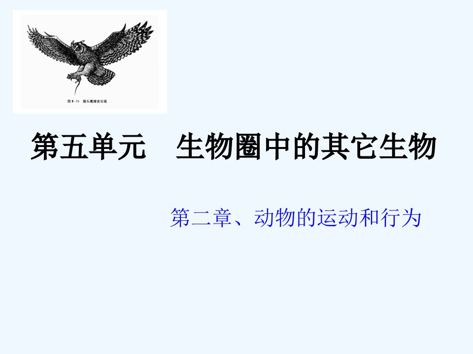 初中生物试题汇编复习课件-中考冲刺第五单元：第二章、动物的运动和行为