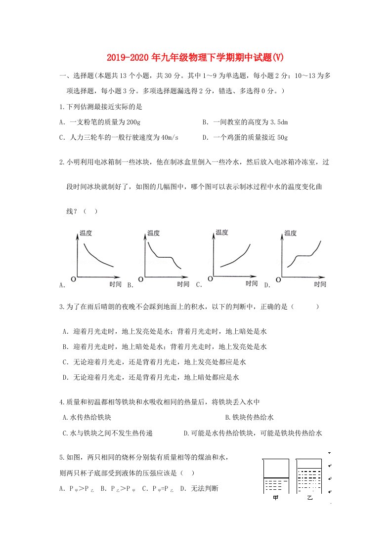 2019-2020年九年级物理下学期期中试题(V)