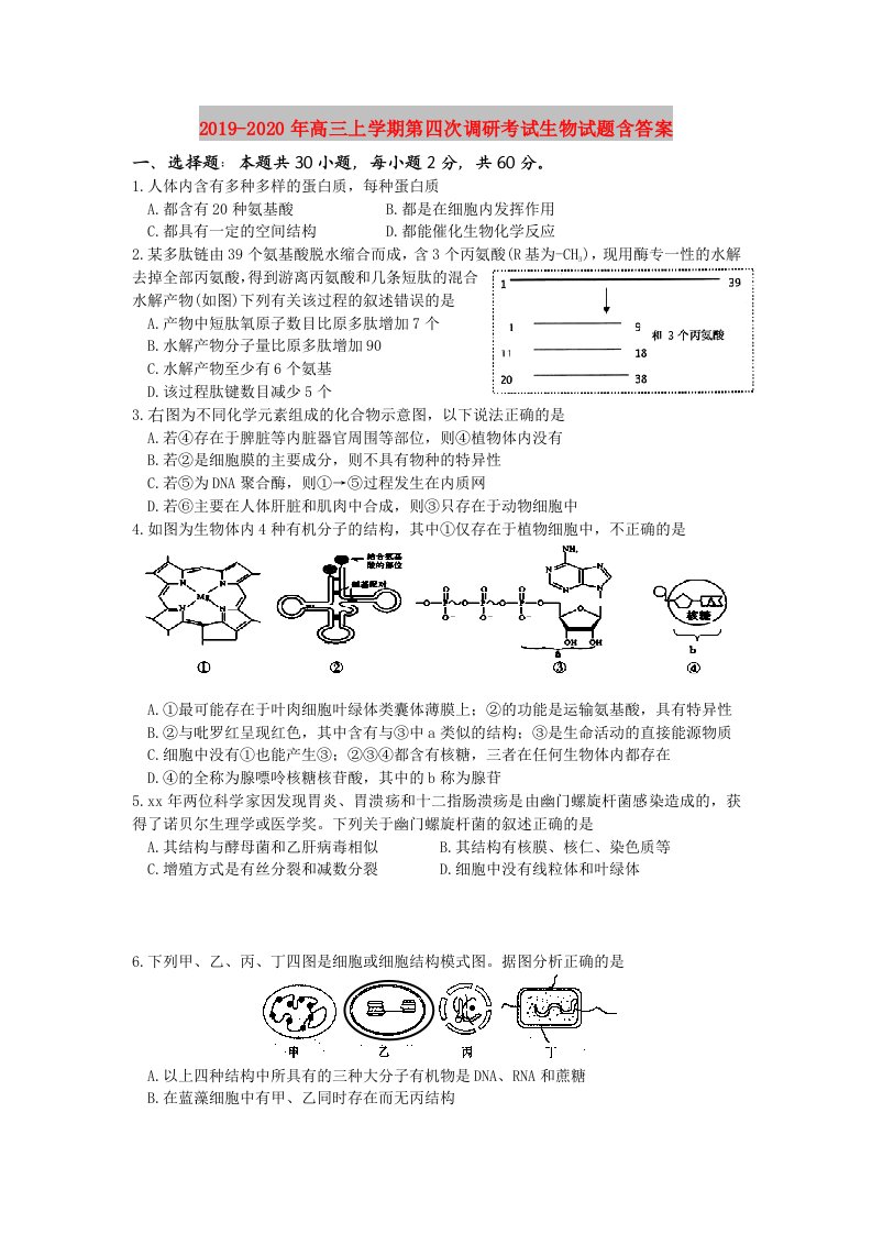 2019-2020年高三上学期第四次调研考试生物试题含答案