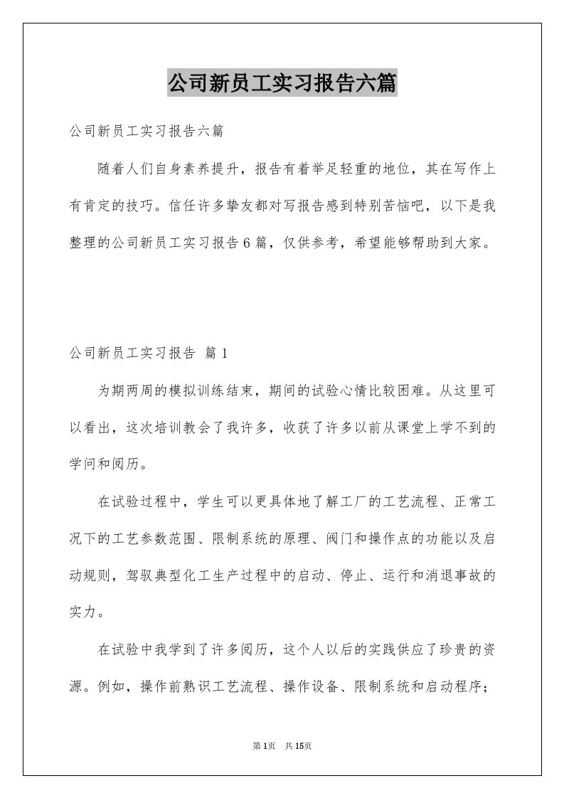 公司新员工实习报告六篇