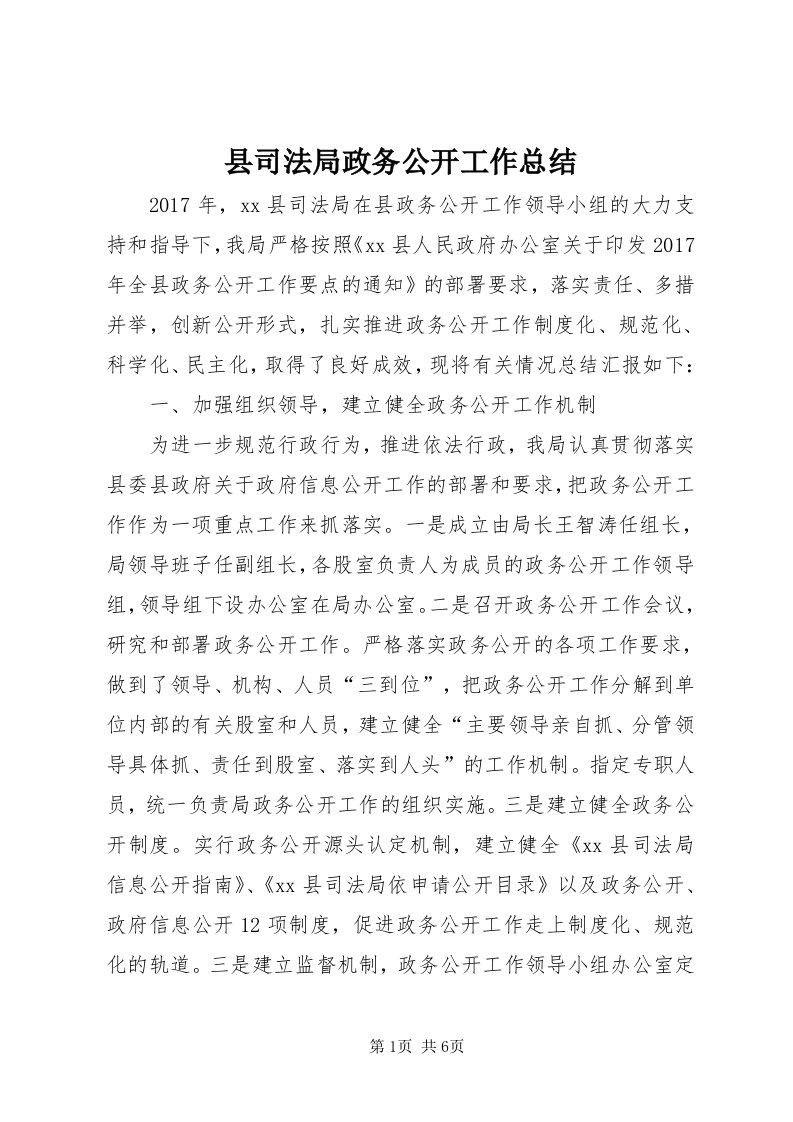 6县司法局政务公开工作总结