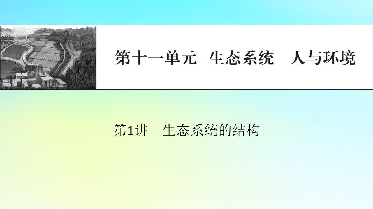 2024版高考生物一轮总复习第十一单元生态系统人与环境第1讲生态系统的结构课件