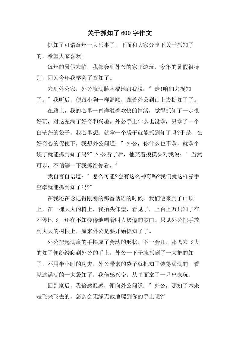 关于抓知了600字作文