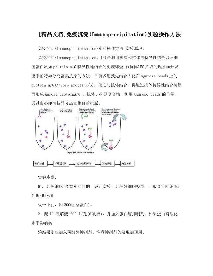 [精品文档]免疫沉淀&#40;Immunoprecipitation&#41;实验操作方法